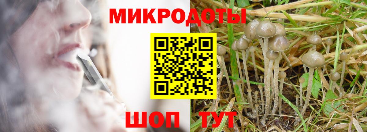 Псилоцибиновые грибы Magic Shrooms  Вход с VPN  Электрогорск 